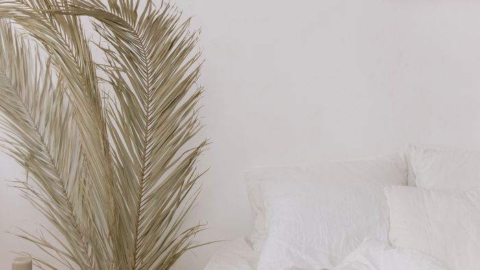 Pexels Cottonbro Studio 6963591